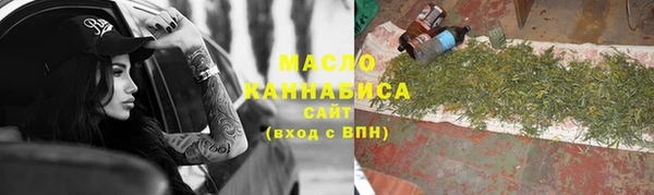 тгк Дмитриев