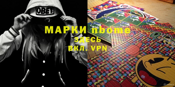 тгк Дмитриев