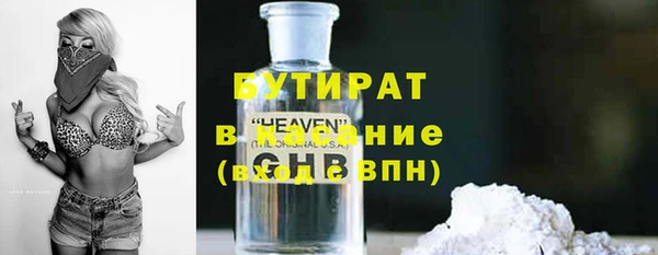 тгк Дмитриев