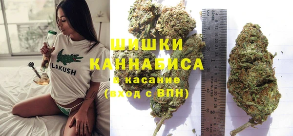 тгк Дмитриев