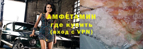 тгк Дмитриев