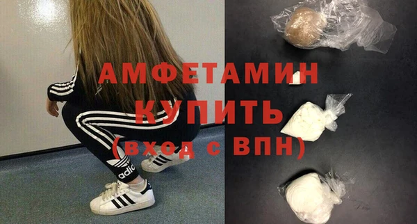 тгк Дмитриев