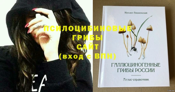 тгк Дмитриев