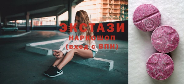 тгк Дмитриев