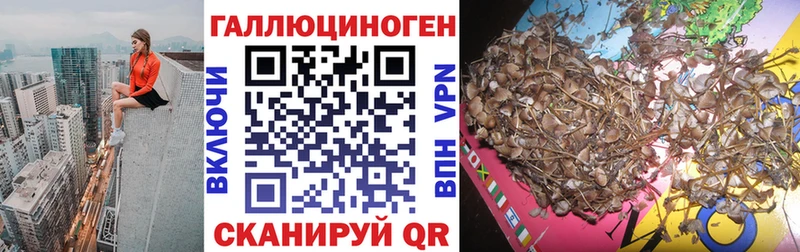 Псилоцибиновые грибы Magic Shrooms  Купить закладки  Новозыбков 